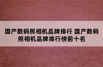 国产数码照相机品牌排行 国产数码照相机品牌排行榜前十名